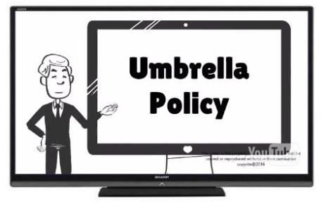 Why You Need An Annual Insurance Review?   Video