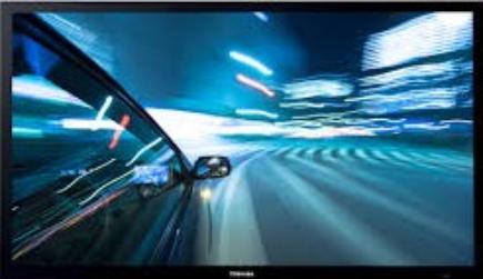 Umbrella Policy Video