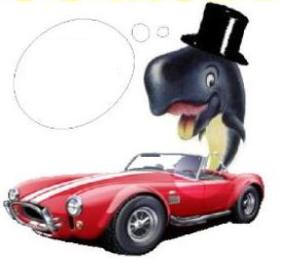 GO MOBY  - Mobile Marketing - 