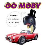 Go MOBY - Video Landing Pages