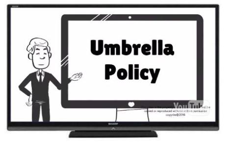 Umbrella Policy Insurance Review?   Video